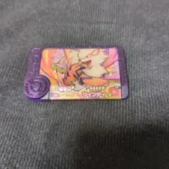 ポケモンフレンダ1弾 スーパートレジャーポケモン 1-1-009「ウィンディ」