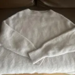 ラクーンイエナ