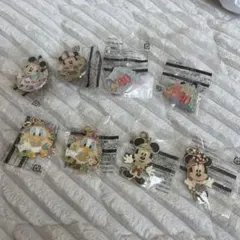 ディズニー　ピンバッジとチャーム