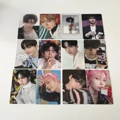 ハンビン zb1 タレントカード