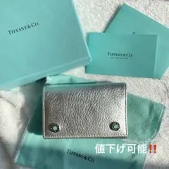 Item thumbnail for item 77548bc8-8477-4cb6-bf05-4c4b44b0e014