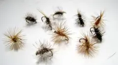 Item thumbnail for item ce25597c-90eb-4a9c-979b-20a5453f0c59