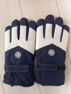 Item thumbnail for item 85bc93d8-8402-4030-be6b-ec2144969c63