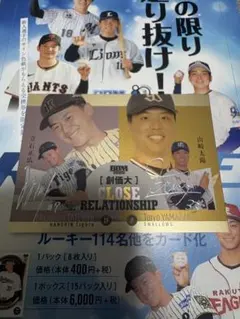 Item thumbnail for item c84b389a-e3fa-4a20-9f25-6bb80aad3110