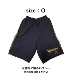 佐賀工業ラグビー 短パン ミズノ L レア 即日発送 送料無料 - メルカリ