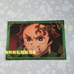 鬼滅の刃 竈門炭治郎 ポストカードコレクション 無限城編 ポスカ