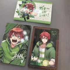 カラフルピーチ　からぴちミュージアム　展示会　トレーディングカード　じゃぱぱ