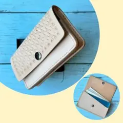 Item thumbnail for item 5c330572-4aba-4441-8bf8-cd89679d53ef