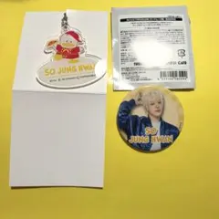 TREASURE はぴだんぶいカフェ　ジョンファン　缶バッジ　キーホルダー