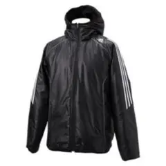 Item thumbnail for item 4596daf1-328f-48b9-bb9e-f69ffbdc5d4d