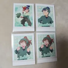 ぱしゃこれセット