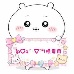 (p♡q´▽`*)様専用