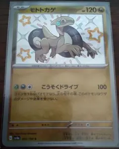 モトトカゲ　R　シャイニートレジャー