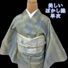 ★織柄　横段暈し　単衣　正絹　大島紬系　上品　セミフォーマルにものサムネイル