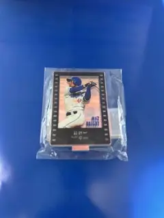 中日ドラゴンズ　オーロラミニアクリルスタンド　ホーム　ブライト健太