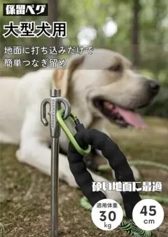 Item thumbnail for item b29b742c-985e-471b-88ee-2ce9a80efe6e