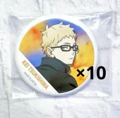 ハイキュー横断幕缶バッチ　月島蛍10点