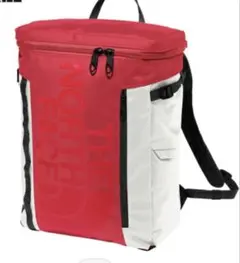 Item thumbnail for item 3a53dd84-3b1e-45c6-91c2-961ab339568c