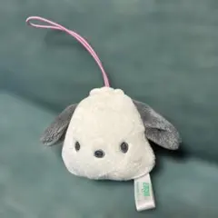 サンリオ　ポチャッコ　マスコット