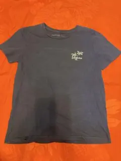 パタゴニア　パタロハ　レディースTシャツ ハワイ