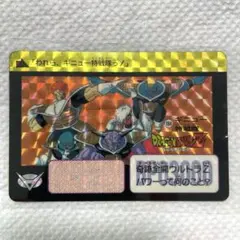 seagal様 リクエスト 2点 まとめ商品