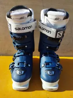 Item thumbnail for item 97d3231f-b1dd-460b-838f-bc8be0f1e837