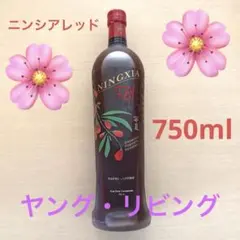 2026年最新】ニンシアレッドの人気アイテム - メルカリ