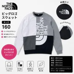 THE NORTH FACE ビッグロゴ スウェット 160のサムネイル