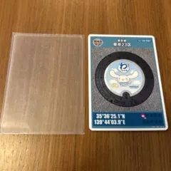 Item thumbnail for item 6061b905-8e9a-427c-af1d-85400271051a