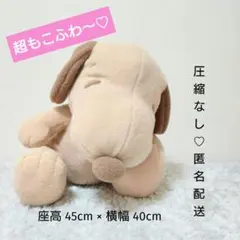 【圧縮なし】スヌーピースーパーラージぬいぐるみ もこふわブラウン★まとめ買い歓迎のサムネイル