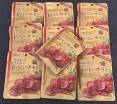 【10袋セット】なとり 一度は食べていただきたいおいしいサラミのサムネイル