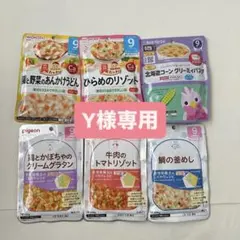 【Y様専用】離乳食 6種類セット＋微笑みラクラクキューブ２箱