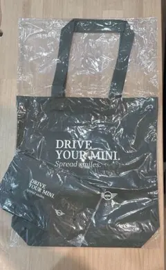 Item thumbnail for item 6a9347a1-01f4-41dc-b261-0477955e6153