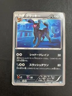 ブラッキー ダークフラッシュ - メルカリ