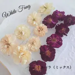 ミニバラ（ミックス）☆ドライフラワー◆専用ケース付き