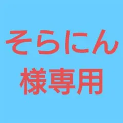★(そらにん様専用！)おまとめ購入2点！