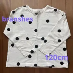 ブランシェス◇ 【b.+A】金子綾/長袖Tシャツ　120