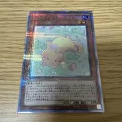 遊戯王　メルフィーキャシィ