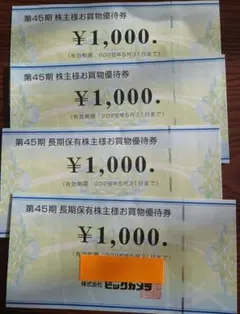 ビックカメラ　株主優待券　4,000円分