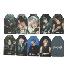 &team back to life everline 特典 エンチーム