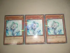 遊戯王　エフェクト・ヴェーラー　ノーパラ　3枚　エフェクトヴェーラー