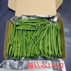 新鮮野菜 採りたて インゲン いんげん 宅急便コンパクト 箱込み1キロのサムネイル