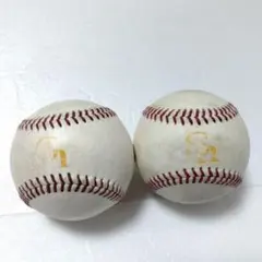 日本プロ野球　NPB　福岡ソフトバンクホークス　練習球　2個セット
