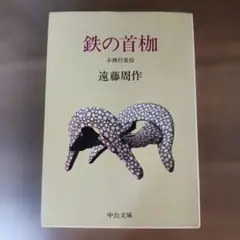 2025年最新】鉄の首枷の人気アイテム - メルカリ