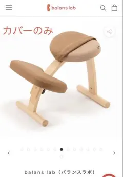 2026年最新】バランスイージーの人気アイテム - メルカリ