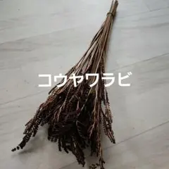 コウヤワラビ　ドライフラワー　リース　スワッグ素材