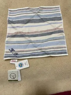 Item thumbnail for item a7621b39-f4b6-4544-9d45-f1af5fd8ca77