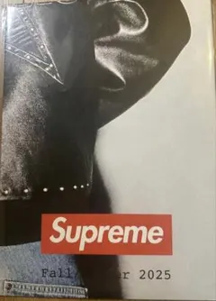 Supreme 25fw ポスター