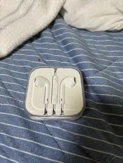 Apple EarPods 純正イヤホン ケース付き