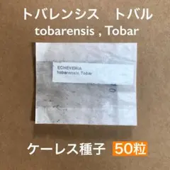 まみっち様 リクエスト 4点 まとめ商品